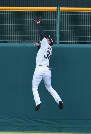 ２回、堂林の打球を好捕する中堅手の岡城（撮影・中田匡峻）