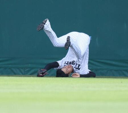 ２回、堂林の打球を好捕する中堅手の岡城（撮影・中田匡峻）