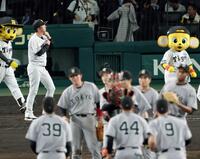 　巨人に連敗し、ファンにあいさつに向かう藤川監督（左奥）＝撮影・山口登