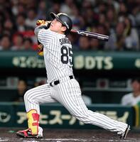 　９回、プロ初打席で左飛に倒れる代打嶋村