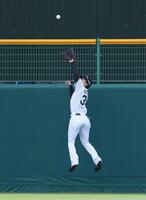 ２回、堂林の打球を好捕する中堅手の岡城（撮影・中田匡峻）