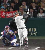 ６回、同点打を放つ大山（撮影・飯室逸平）