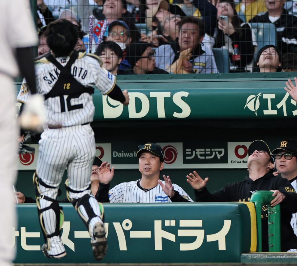２回、岸田のファウルボールを見上げる藤川監督（撮影・田中太一）