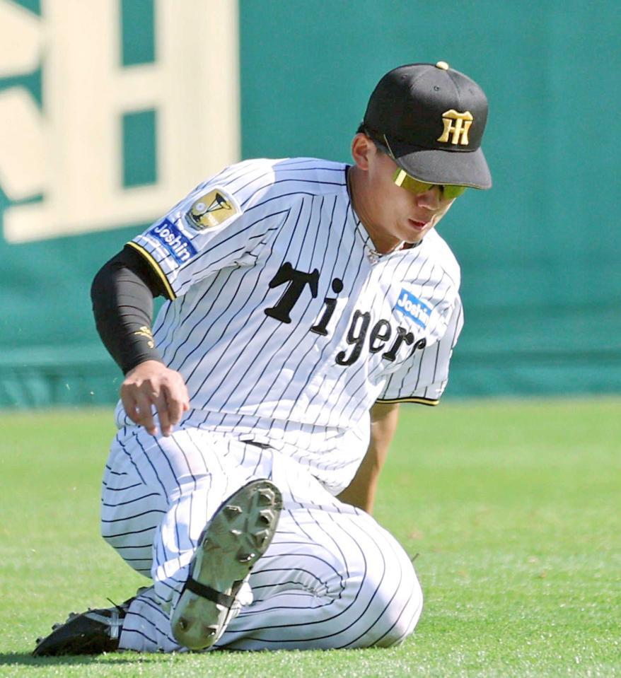 　８回、中沢の打球をスライディングしながら捕る立石（撮影・立川洋一郎）