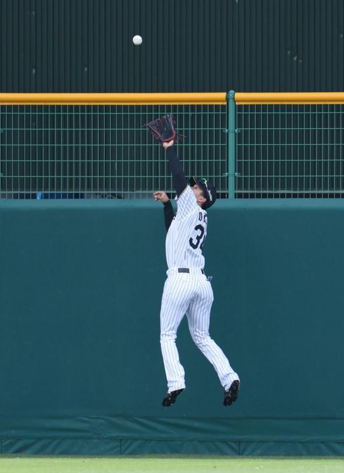 ２回、堂林の打球を好捕する中堅手の岡城（撮影・中田匡峻）