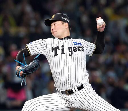 　９回を無失点で締めた岩崎（撮影・西田忠信）