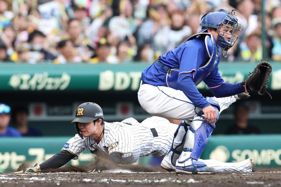 ７回、森下の適時二塁打で頭から生還する中野（左）＝撮影・西田忠信
