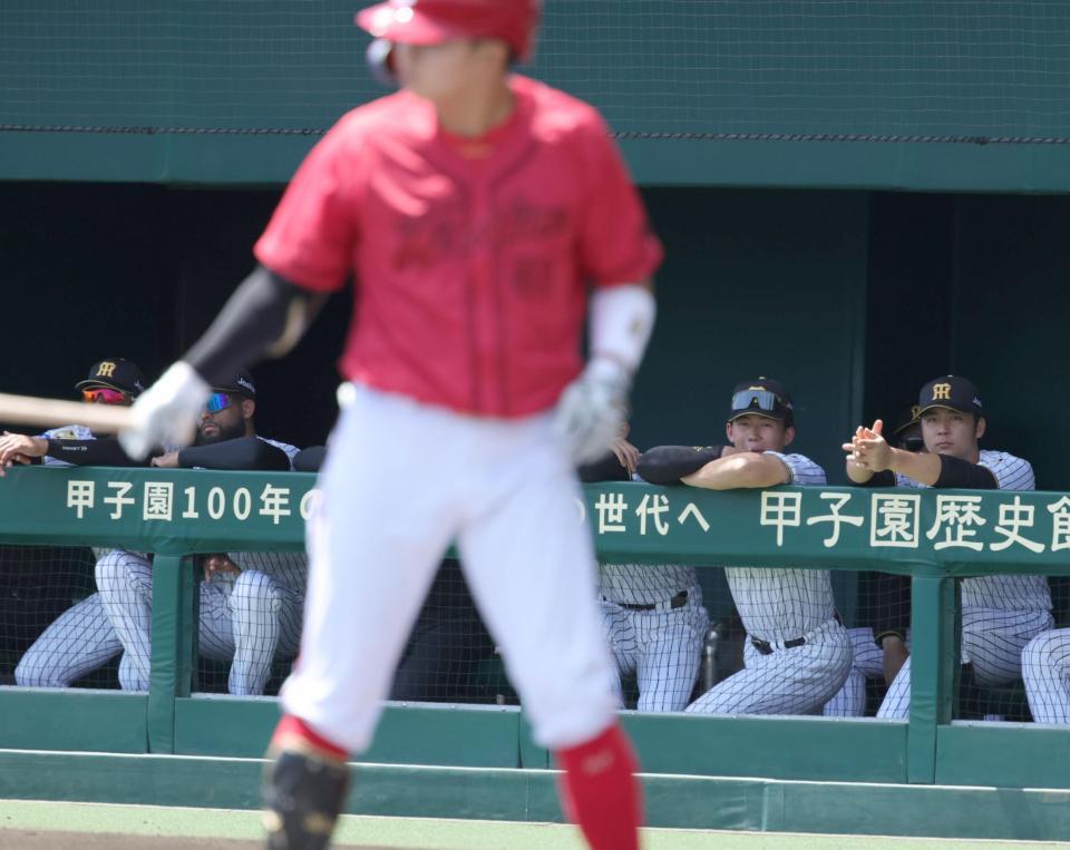 １回、同じルーキーの平川の打席に注目する立石（撮影・坂部計介）