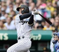 　４回、適時打を放つ坂本（撮影・田中太一）