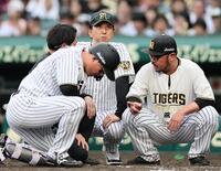 ５回、死球を受けた森下（手前）を心配する藤川監督（撮影・田中太一）