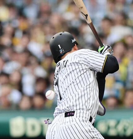 　５回、死球を受ける森下（撮影・田中太一）