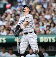 ５回、犠飛を放つ佐藤輝（撮影・田中太一）