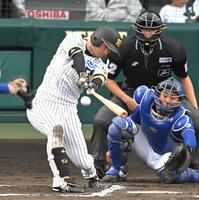 　６回、勝ち越し打を放つ近本（撮影・飯室逸平）