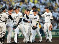 　中日に３連勝しタッチする近本ら阪神ナイン（撮影・山口登）