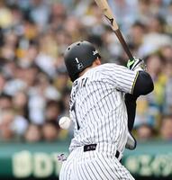 　５回、死球を受ける森下（撮影・田中太一）