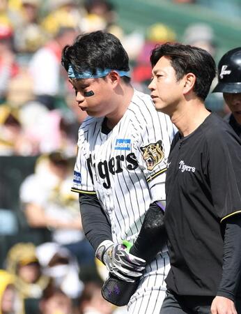 １回、死球を受けベンチに下がる森下（撮影・西田忠信）