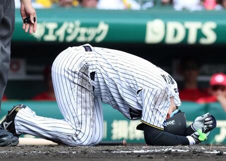 １回、死球を受け倒れ込む森下（撮影・西田忠信）