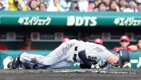 １回、死球を受け倒れ込む森下（撮影・西田忠信）