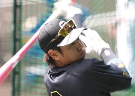 打撃練習をする梅野（撮影・西田忠信）