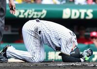 １回、死球を受け倒れ込む森下（撮影・西田忠信）