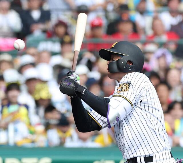 阪神　森下翔太が死球受け甲子園騒然