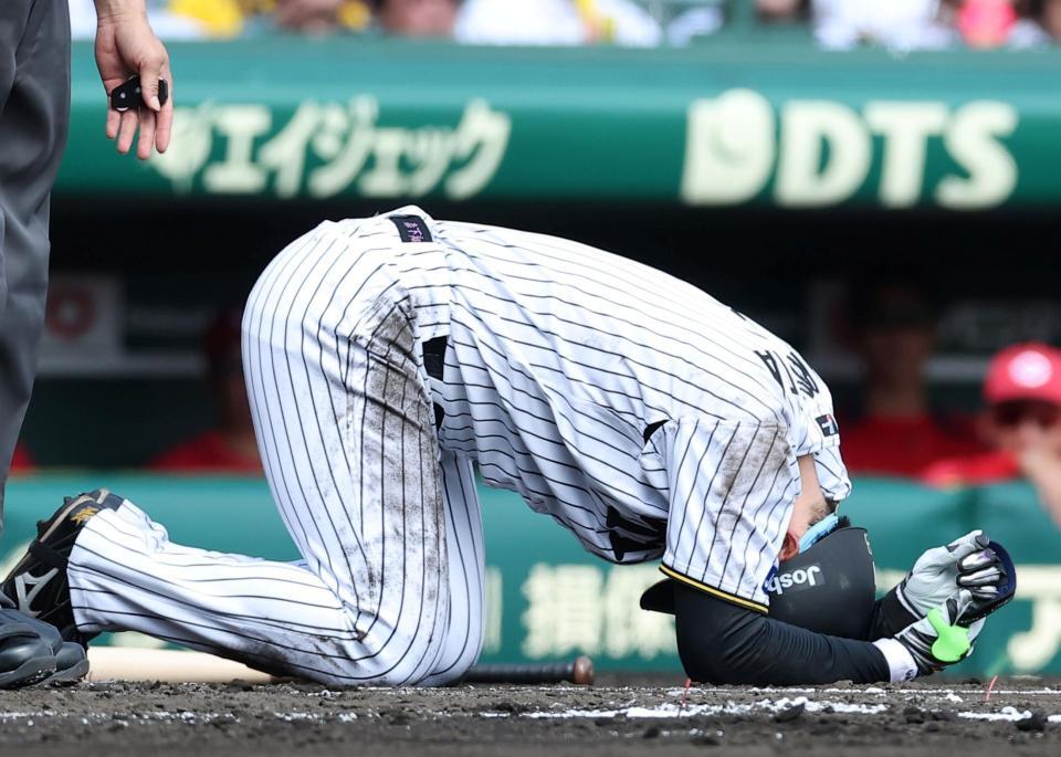 １回、死球を受け倒れ込む森下（撮影・西田忠信）