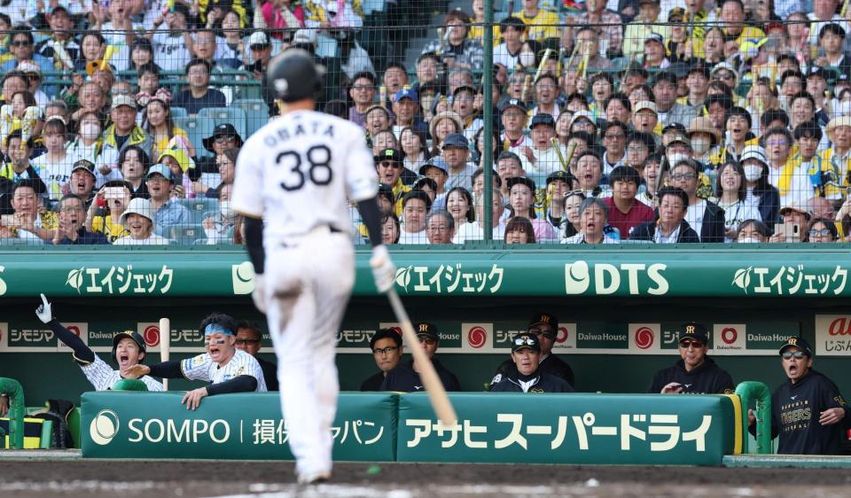 ８回、小幡の押し出し死球で勝ち越し、喜ぶ森下（左から２人目）ら阪神ナイン（撮影・山口登）