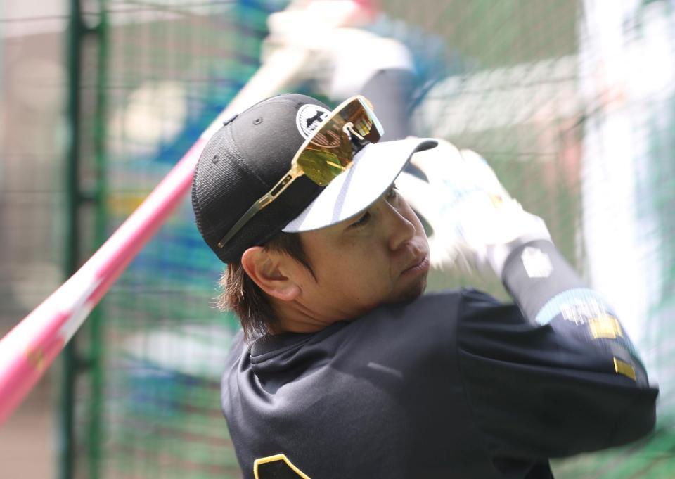 打撃練習をする梅野（撮影・西田忠信）