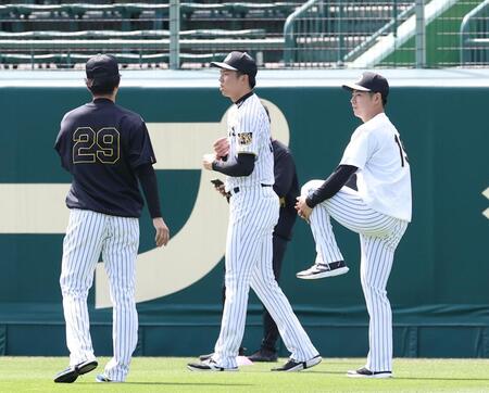 甲子園の外野で体を動かす（左から）高橋、才木、下村（撮影・西田忠信）