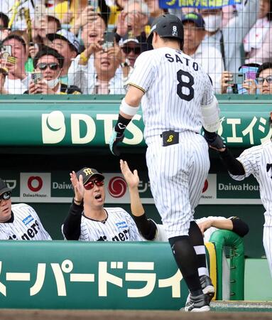 ４回、先制ソロを放った佐藤輝を迎える藤川監督（撮影・山口登）