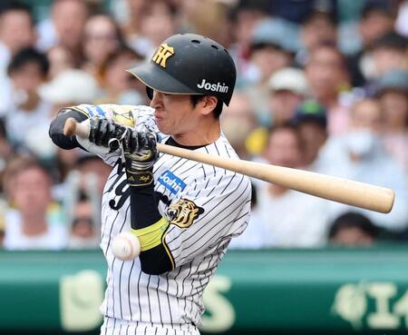 デイリースポーツ 主要ニュース