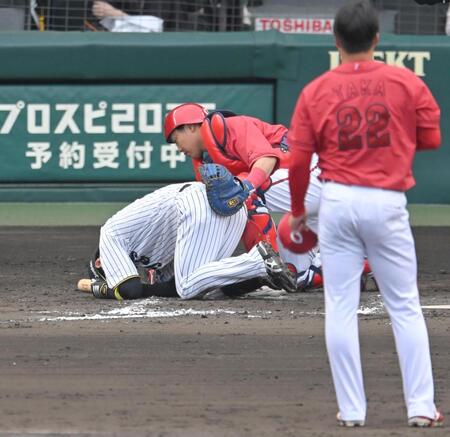 ８回、死球を受け、その場にうずくまる近本（撮影・飯室逸平）