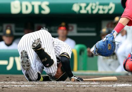 ８回、死球を受けグラウンドに倒れ込む近本（撮影・山口登）
