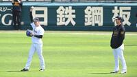 藤川監督が見守る中、キャッチボールする下村（撮影・飯室逸平）