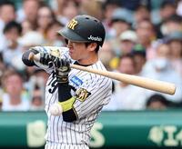 ８回、死球を受ける近本（撮影・山口登）