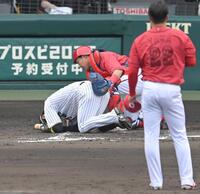 ８回、死球を受け、その場にうずくまる近本（撮影・飯室逸平）