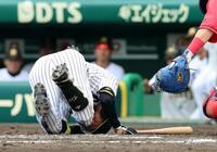 ８回、死球を受けグラウンドに倒れ込む近本（撮影・山口登）