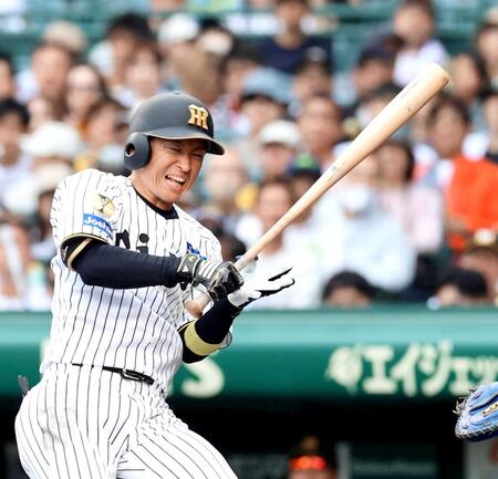 　８回、死球を受ける近本（撮影・山口登）