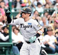 　４回、先制ソロを放ちダイヤモンドを一周する佐藤輝（撮影・西田忠信）