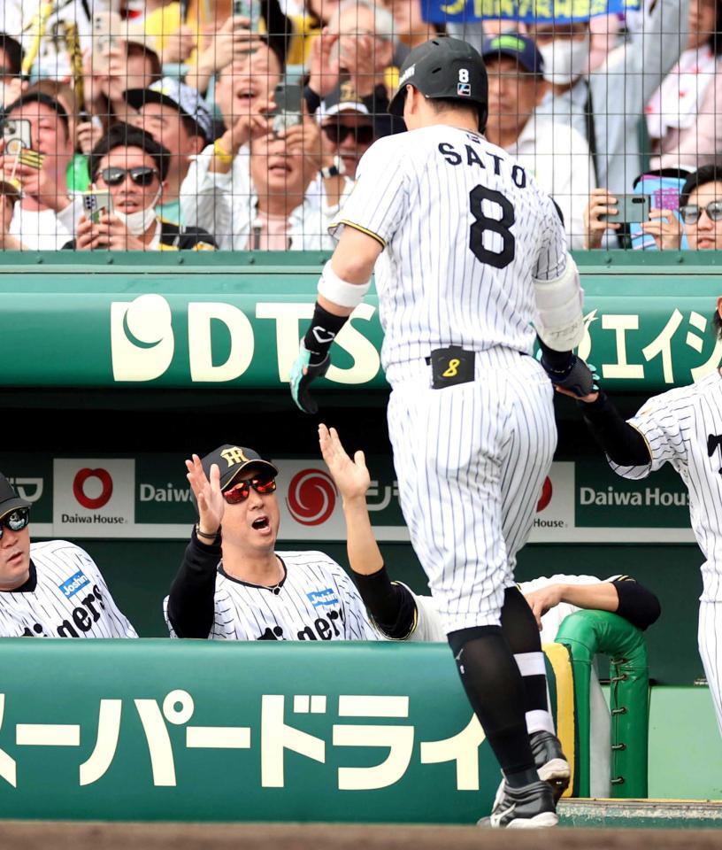 　４回、先制ソロを放った佐藤輝を迎える藤川監督（撮影・山口登）