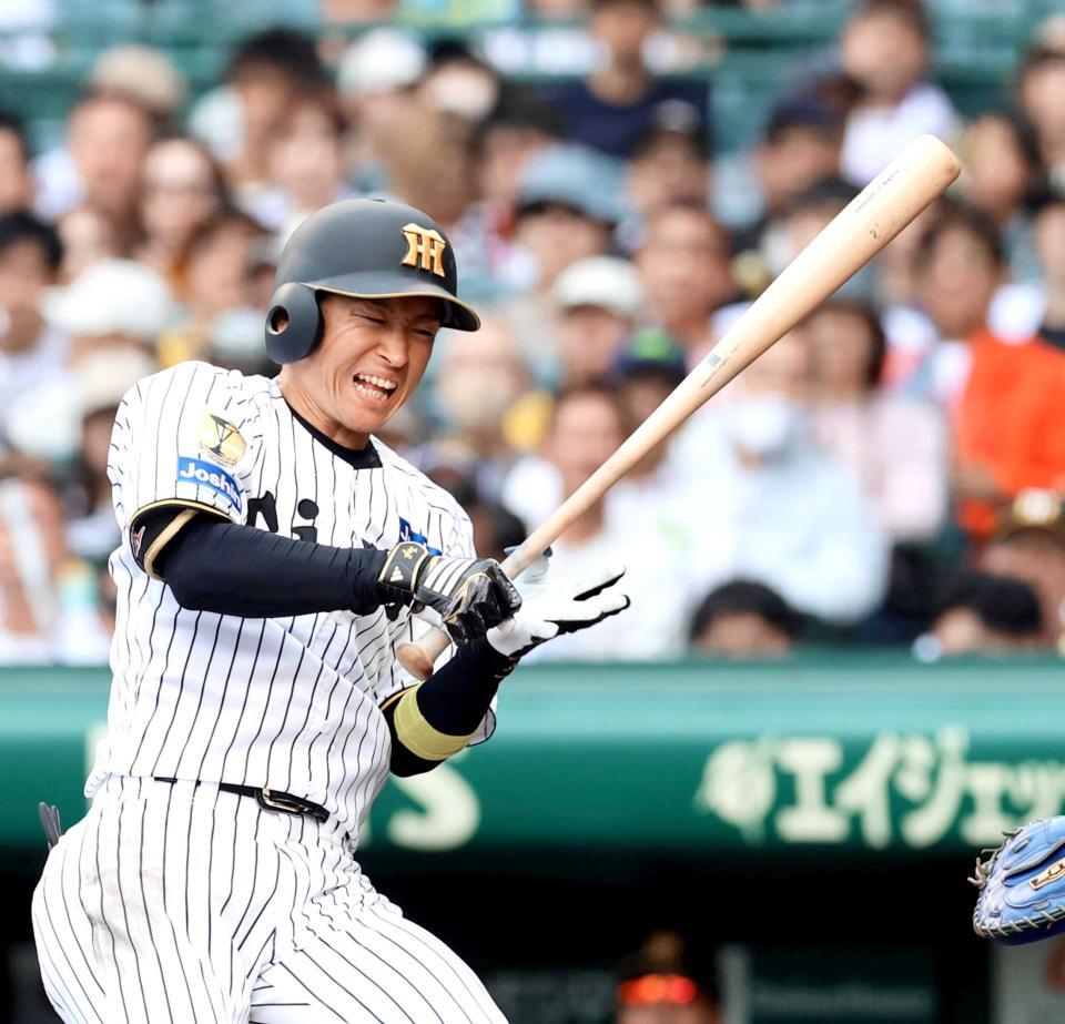 　８回、死球を受ける近本（撮影・山口登）