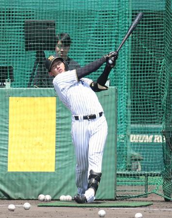 打撃練習をする立石（撮影・中田匡峻）