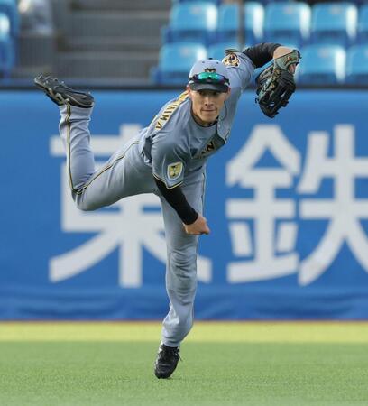 センターでシートノックを受ける福島（撮影・西岡正）