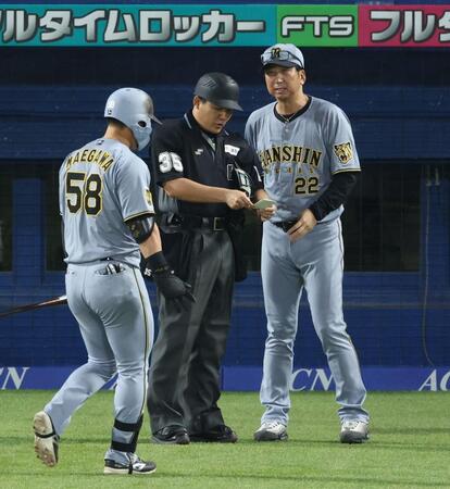 ７回、中野の代打・前川が三振に倒れ、厳しい表情で選手交代を告げる藤川監督（撮影・金田祐二）
