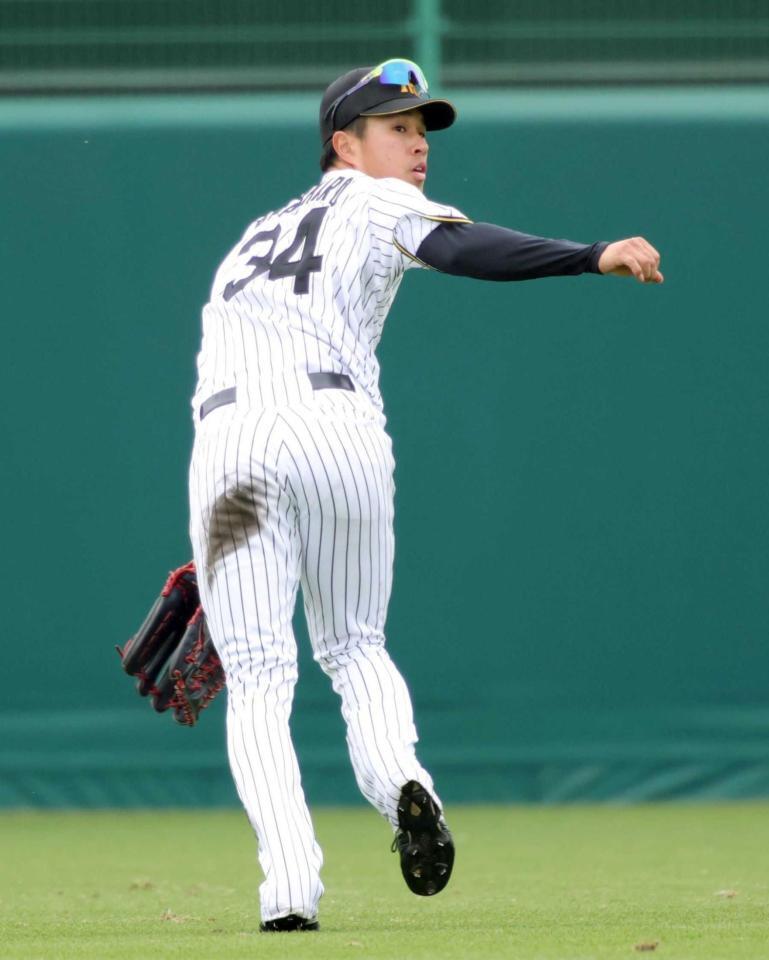 　近本の代役が期待される岡城