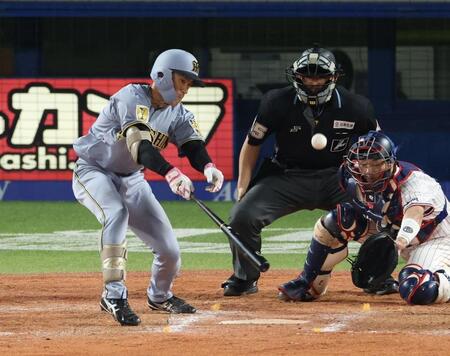９回阪神２死一塁、中前打を放つ阪神・福島圭音＝神宮（撮影・金田祐二）