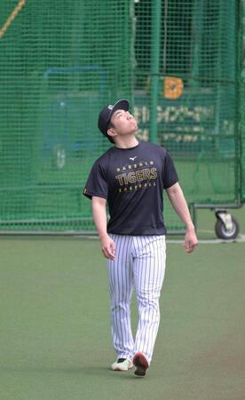 ケガ後初のグランドでの歩行練習、空を見上げる石井（撮影・金居みつよし）