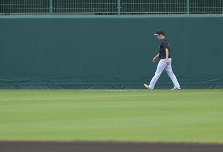 芝の感触を確かめるように外野を歩く石井（撮影・金居みつよし）