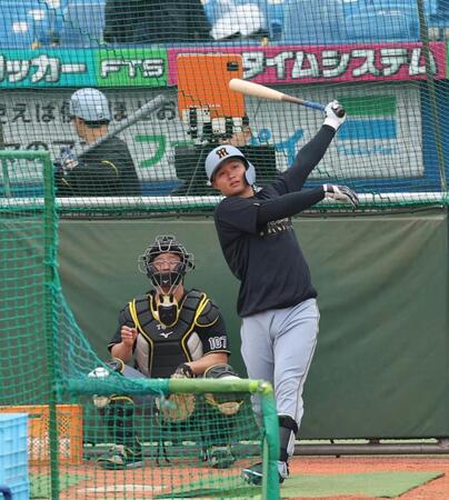 フリー打撃する森下（撮影・金田祐二）