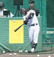 打撃練習をする立石（撮影・中田匡峻）